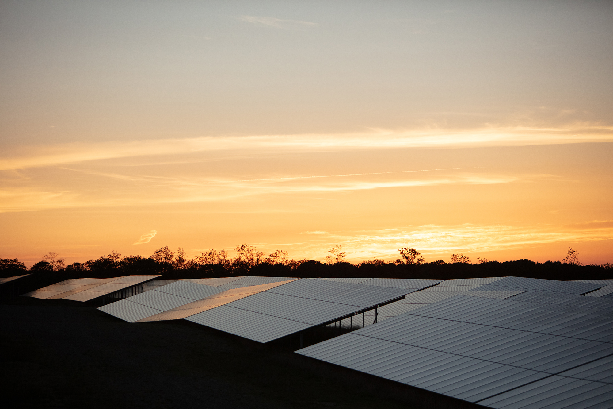 Image of a solar park in the morning.