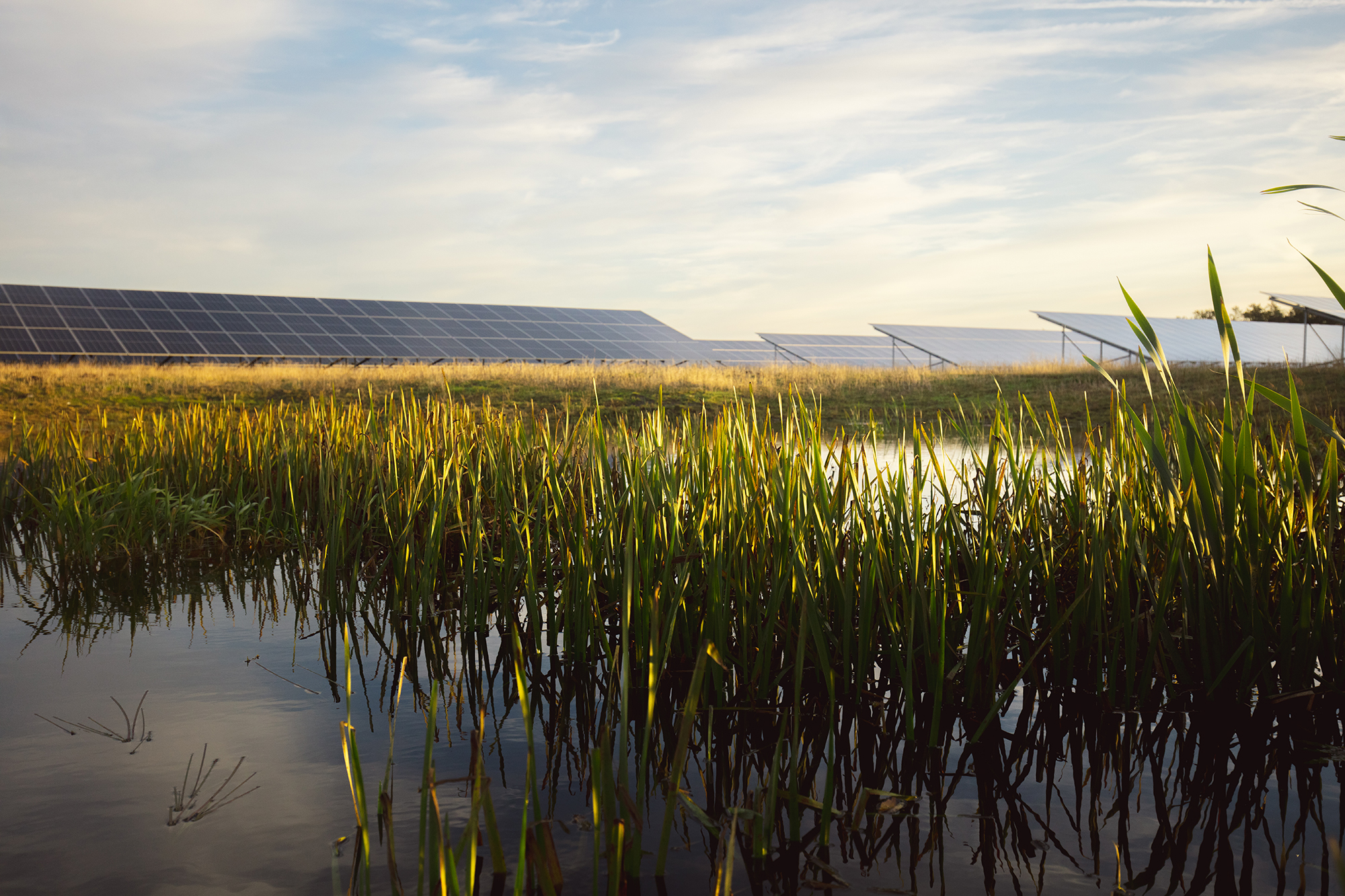 Image of solar park with water in the foreground