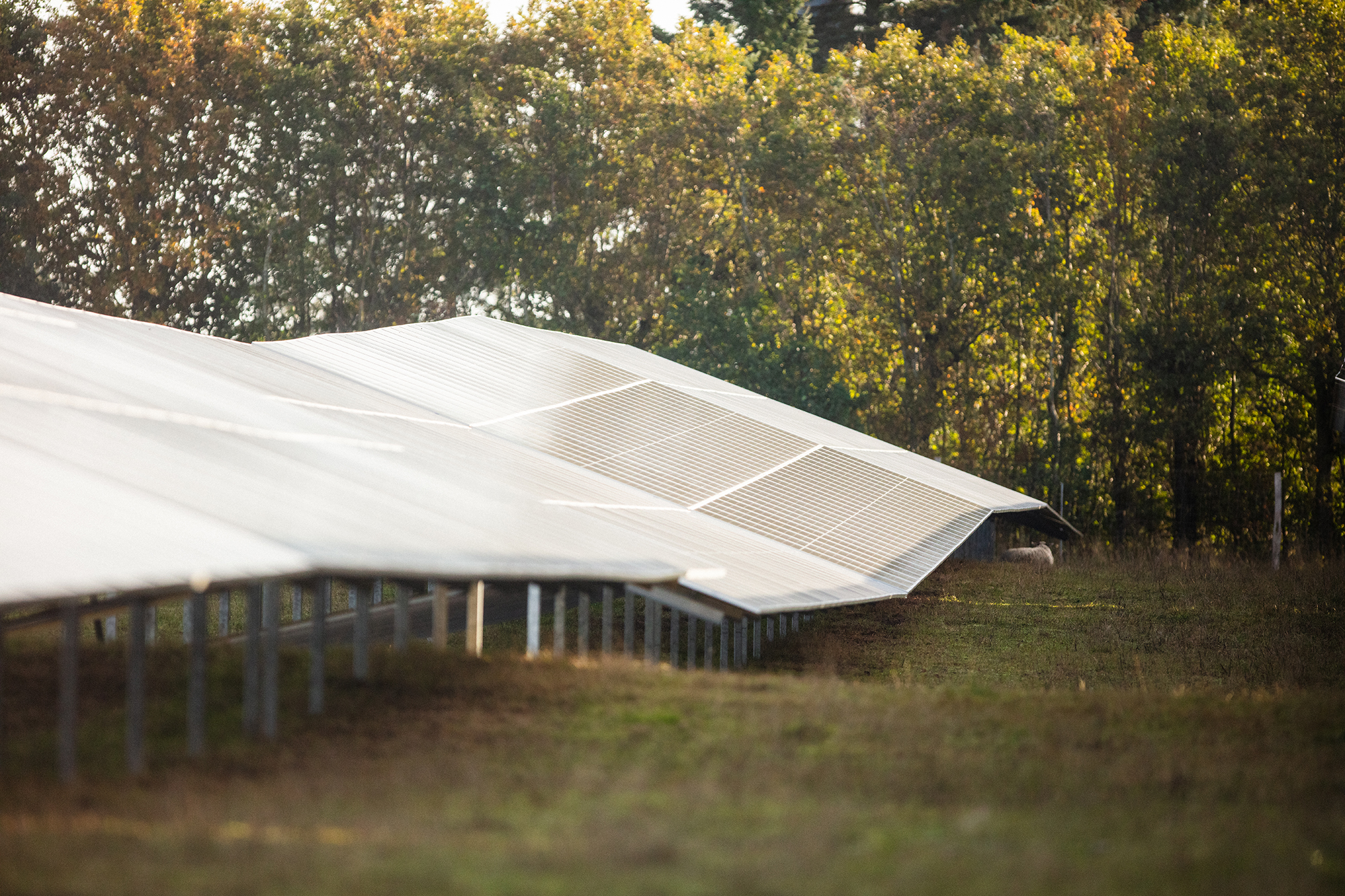 Image of solar park)