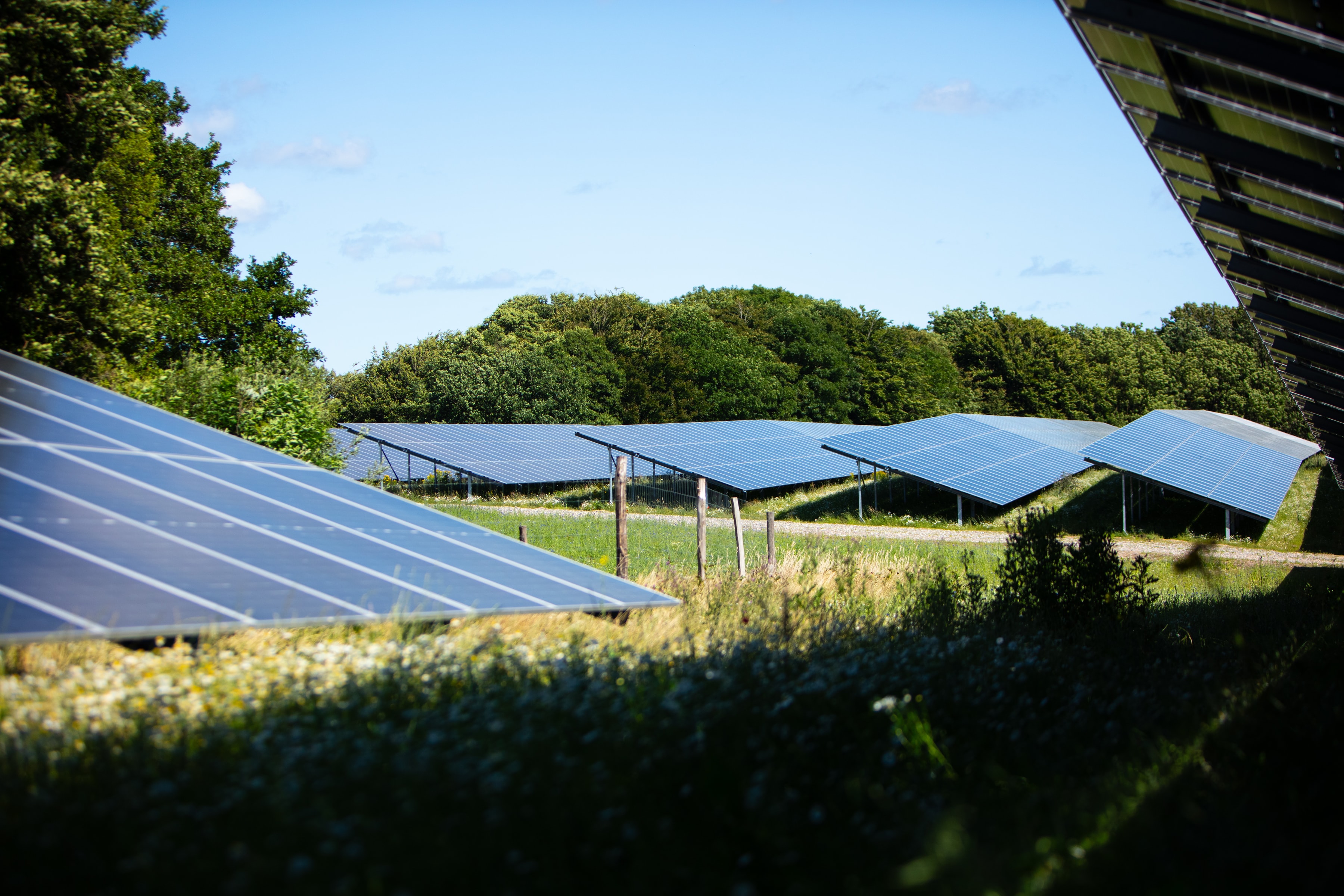 Image of solar panels and grass